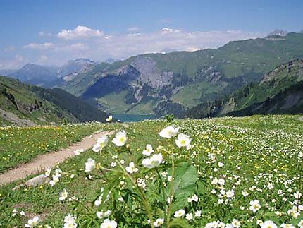 Col de la Louze