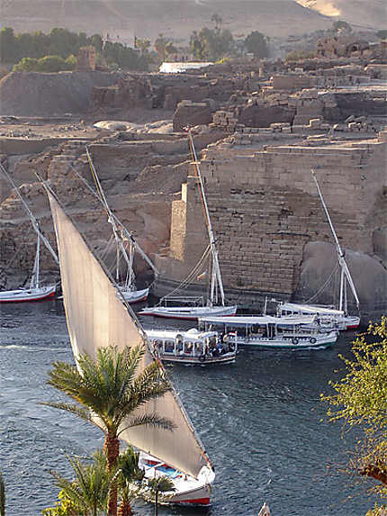 Bord du Nil