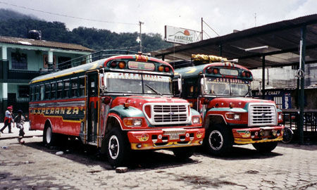 Chiken bus