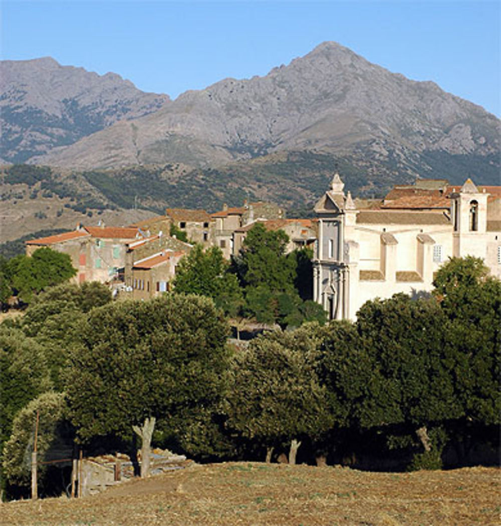 Giunssani
