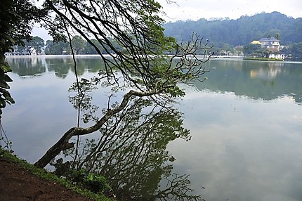 Le lac de Kandy et le temple de la Dent