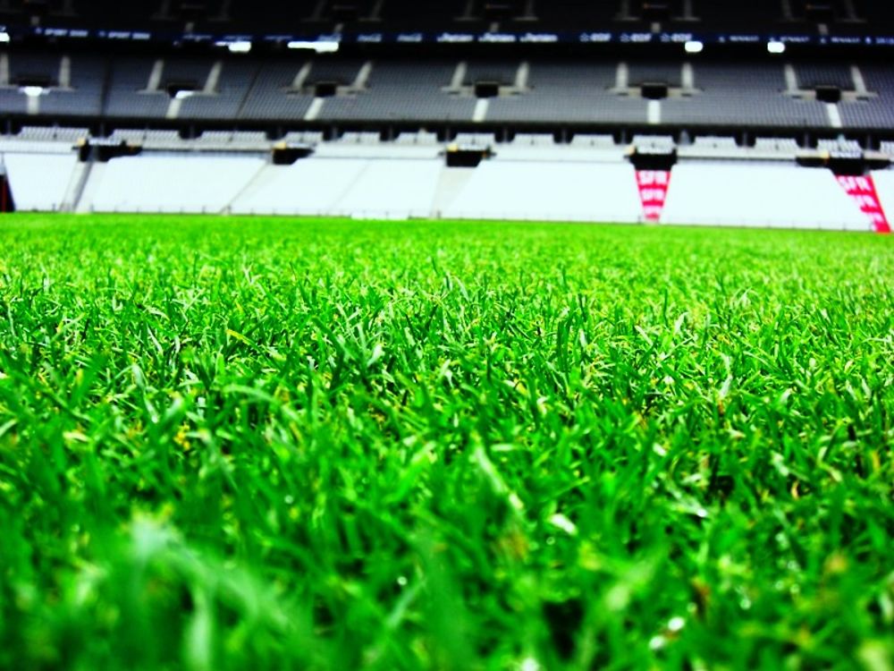 Pelouse du Stade de France 