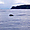 Baleine à bosse près d'isla del cano