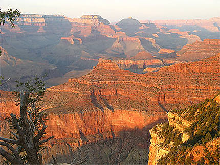 Grand Canyon au coucher du soleil 