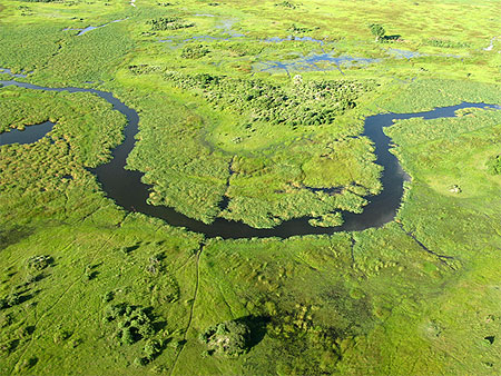 Survol du delta de l'okavango Survol du delta de l'okavango