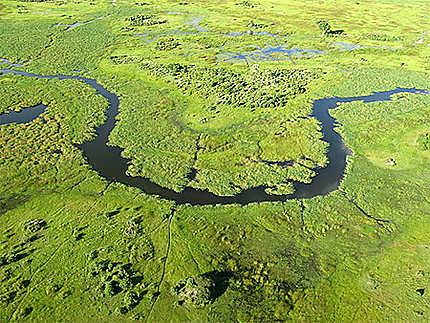 Survol du delta de l'okavango