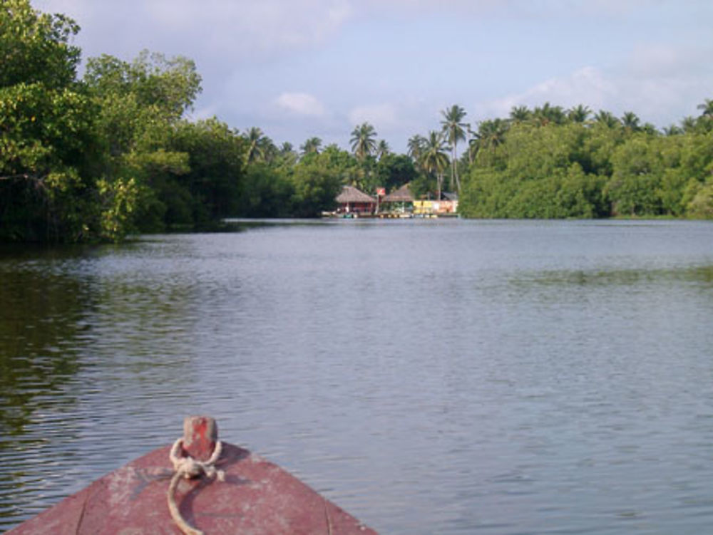 Arrivée à Monterrico