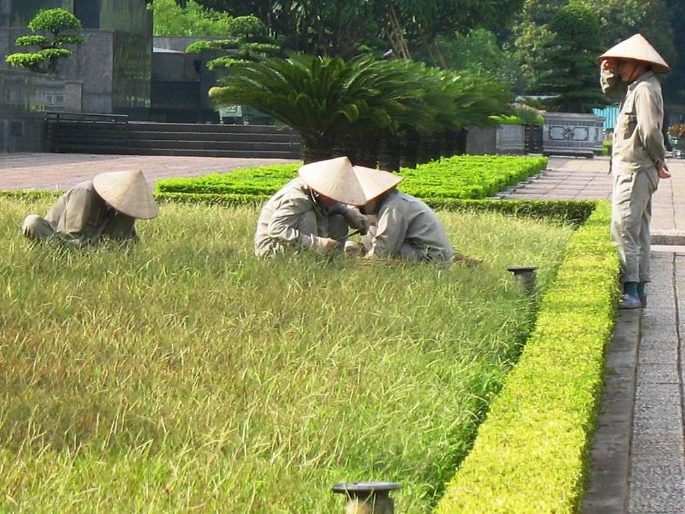 Impressionnantes jardinières