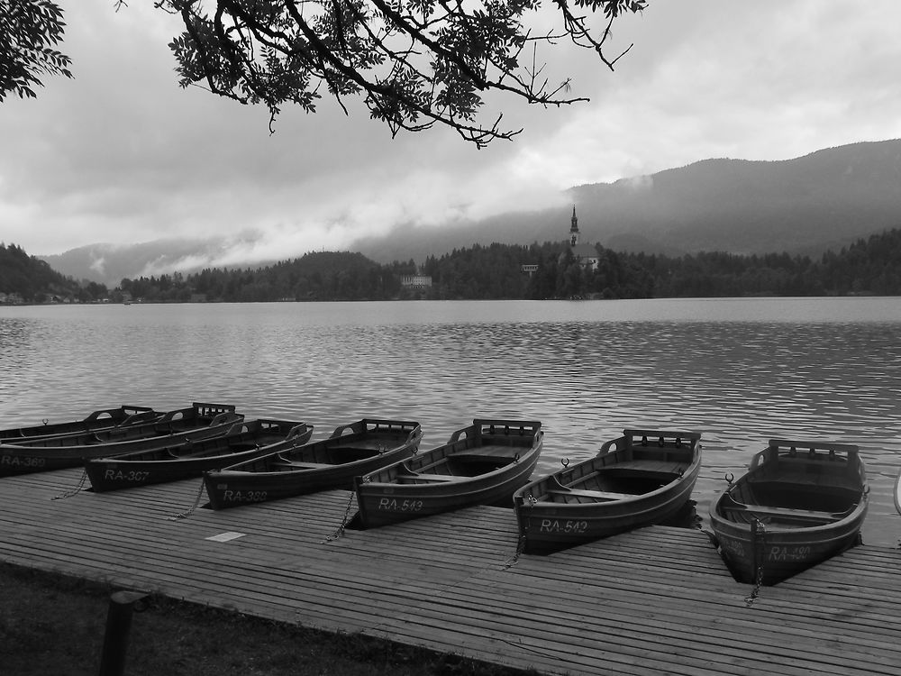 Les barques de Bled restent à quai 