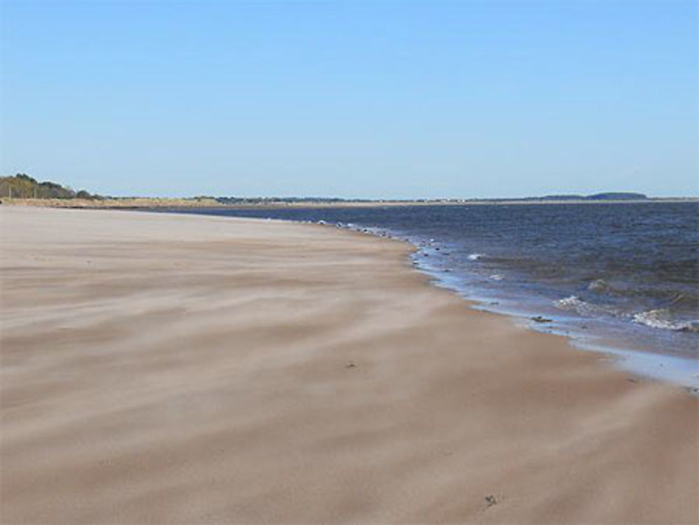 Tempête de sable sur la plage, Dundee