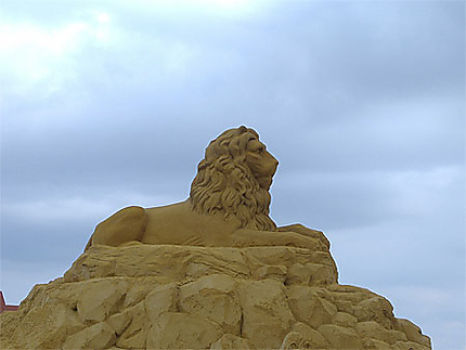 Lion de sable