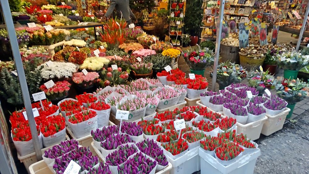 Marché aux Fleurs d'Amsterdam