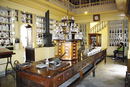 Musée du Dr TRIOLET