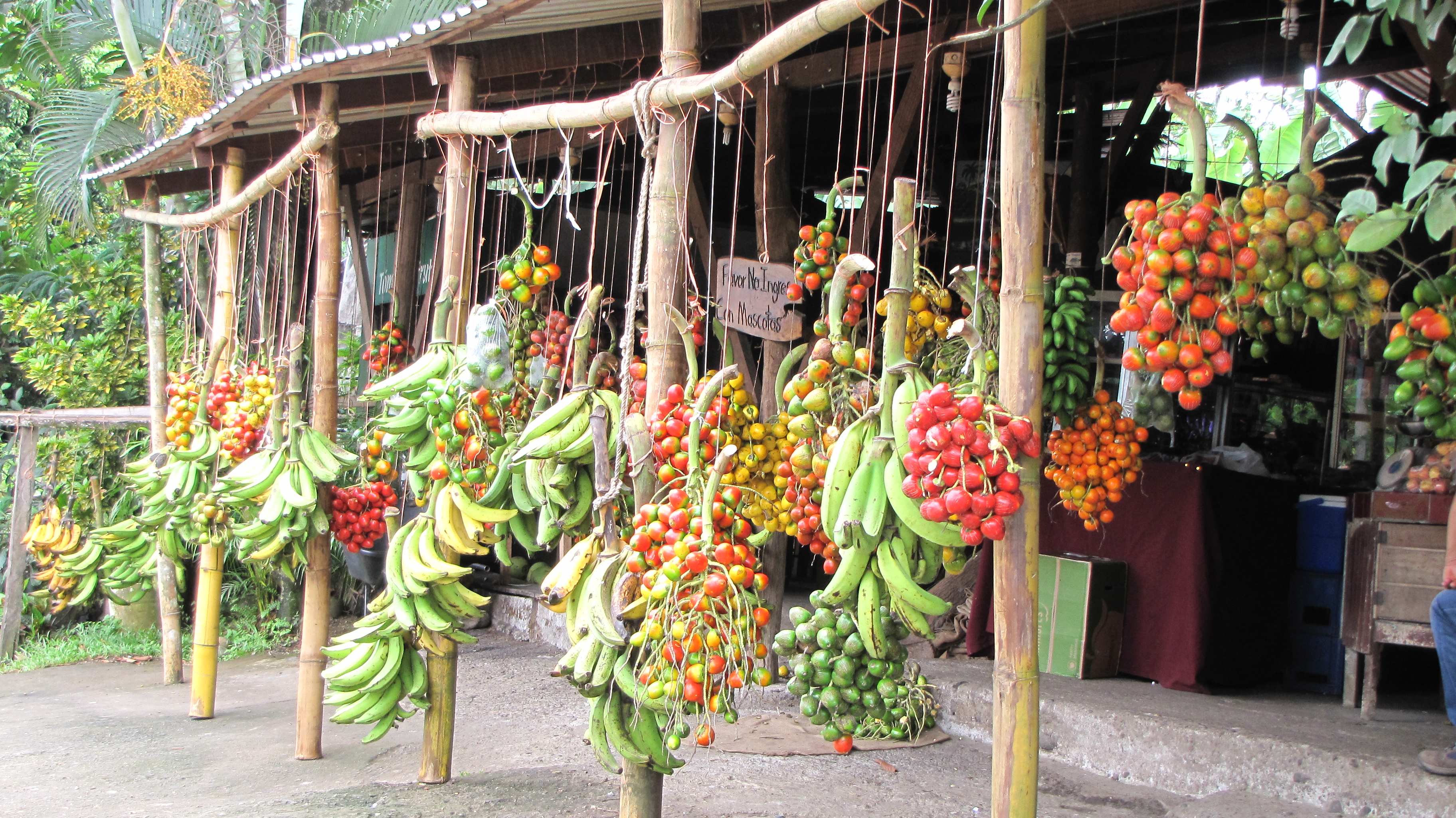 Marchand de fruit au bord de la route : Marchés : Cahuita ...