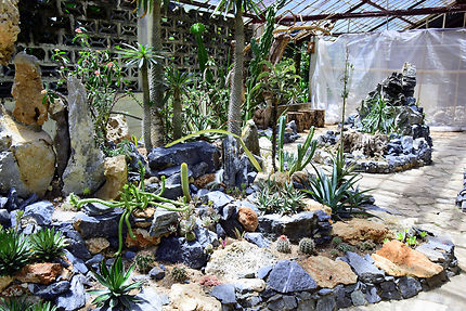 Le jardin botanique de Cienfuegos