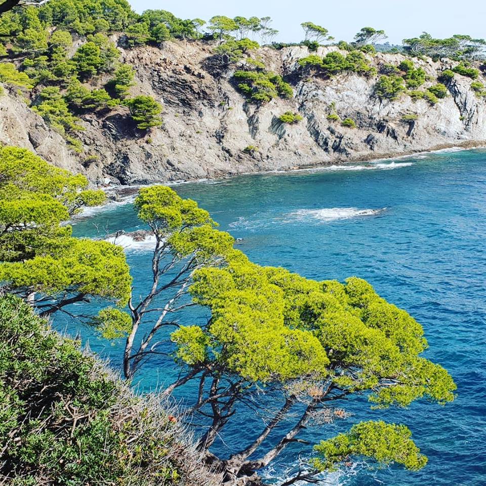 Sentier du littoral vers la plage des Darboussière Sentier du littoral vers la plage des Darboussière