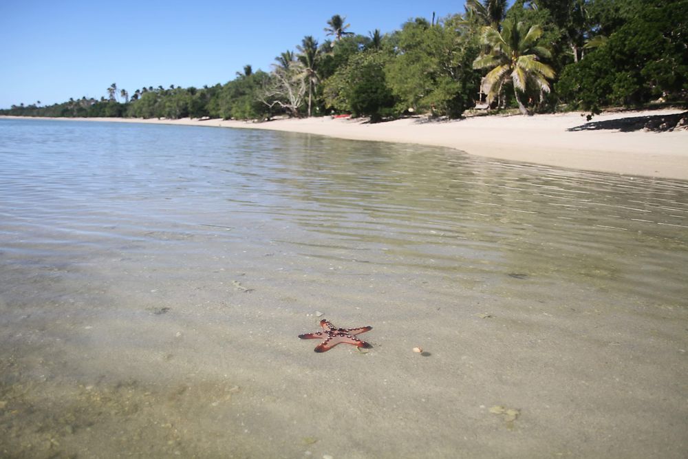 Plage de Poingam