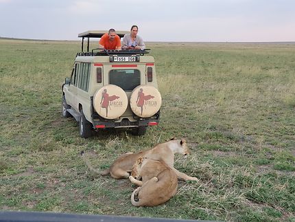 The glimpse of the Serengeti