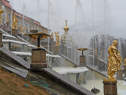 Dorures et fontaines de Peterhof
