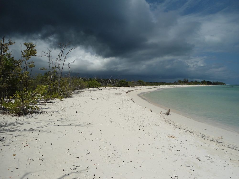 El cayo Levisa, Cuba