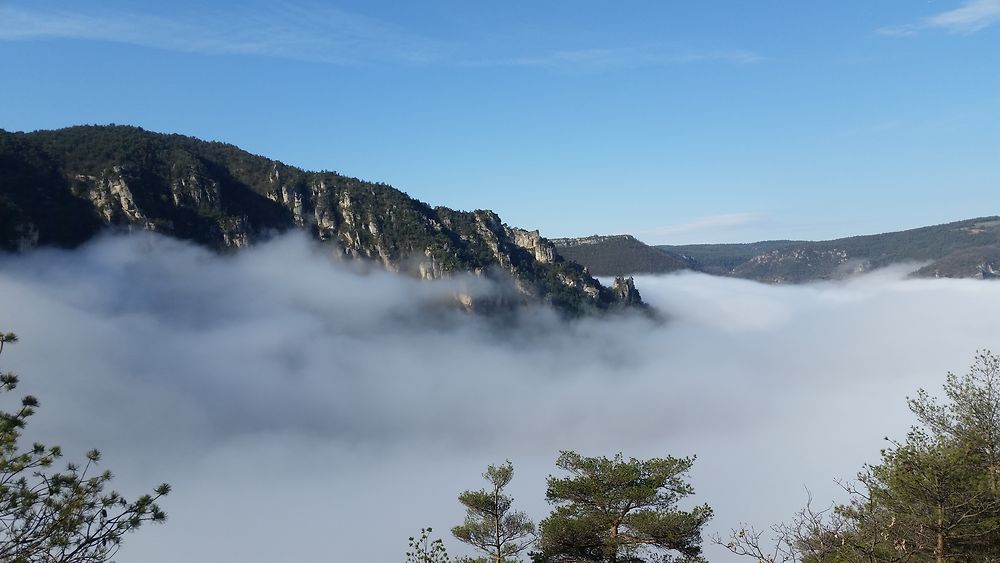 Les Gorges de la Jonte