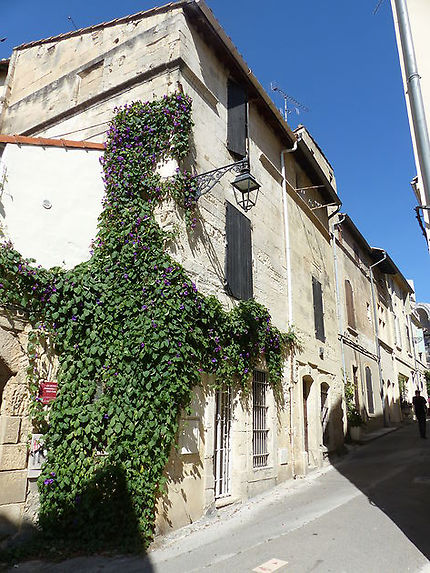 Ruelle d’Arles