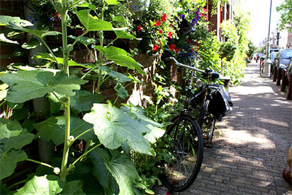 Vélo à Amsterdam