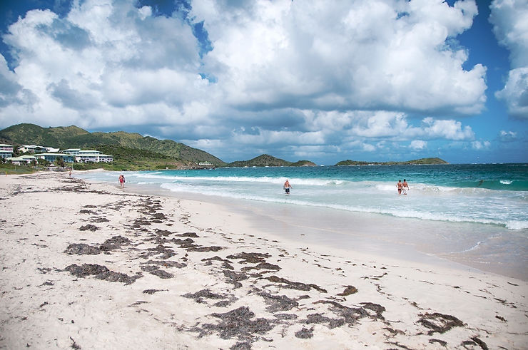 Des plages préservées et la vie qui reprend…