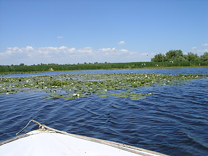 Balade en barque sur le calme Danube