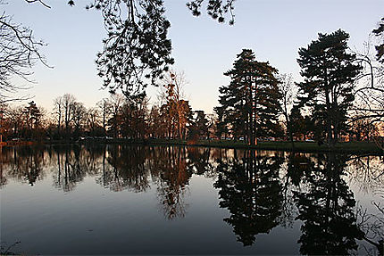 Un lac du bois de Vincennes