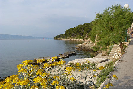 Jelsa Jelsa