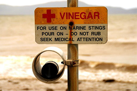 Vinaigre en self service Vinaigre en self service