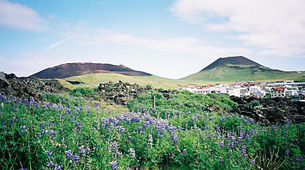 Les volcans Edfell et Helgafell sur L'îles d'Heimaey