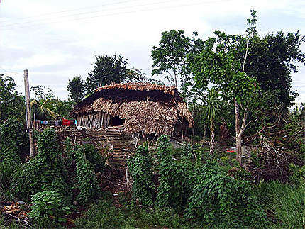 Habitation maya typique