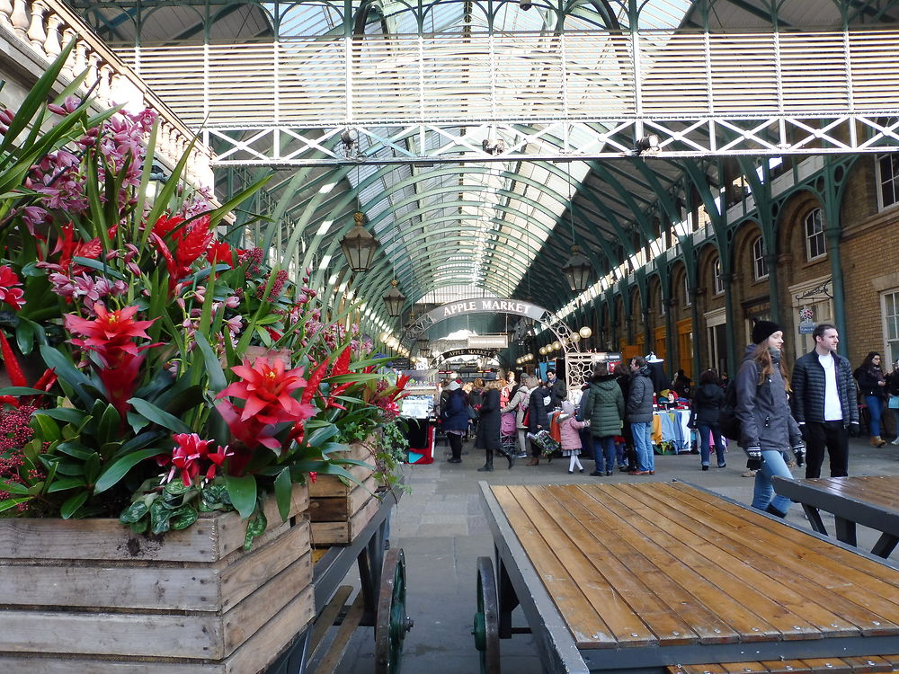 Apple Market