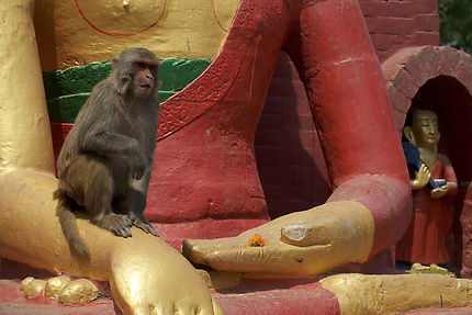 Le singe et la statue