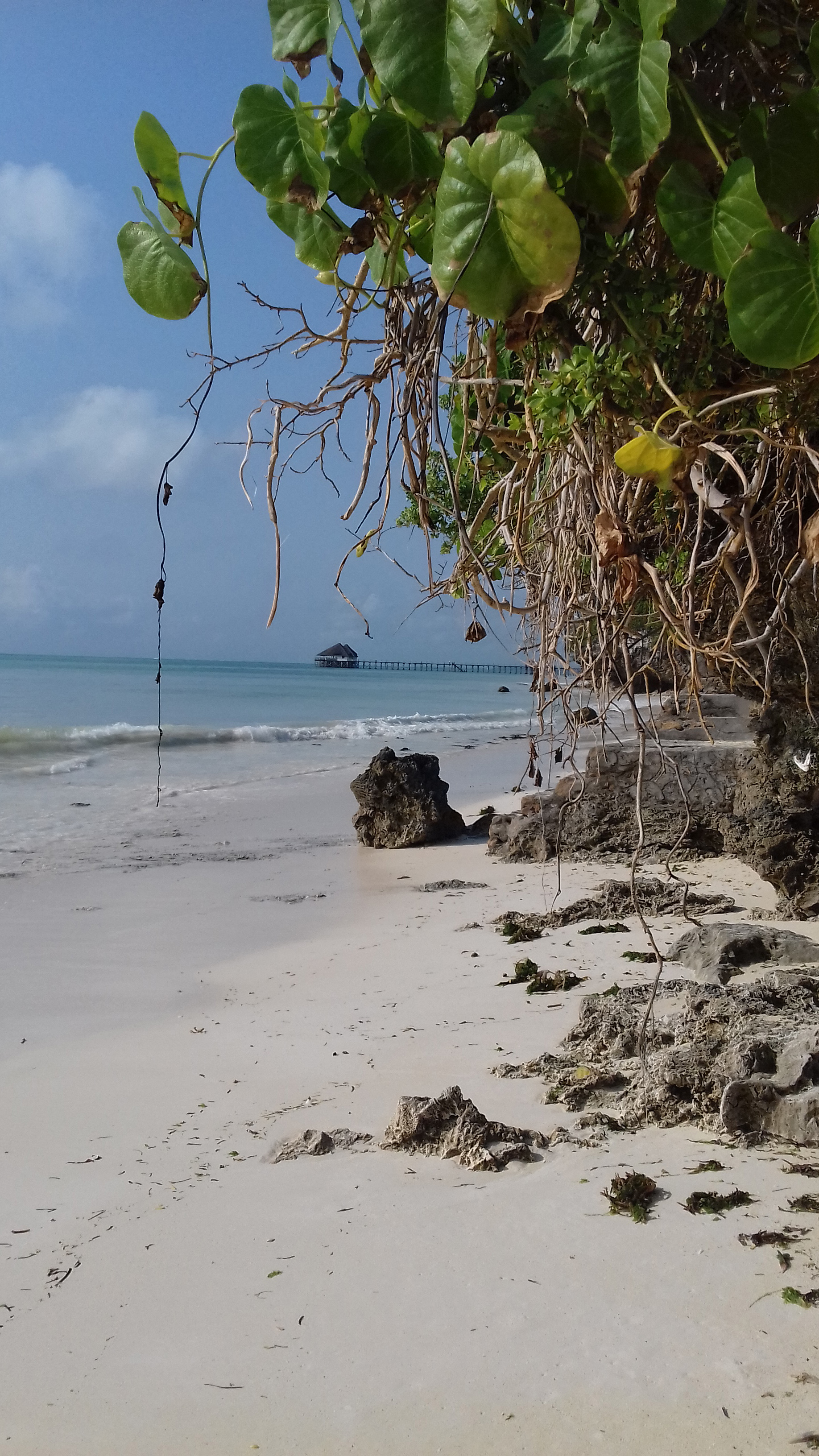 Kiwengwa plage Kiwengwa plage