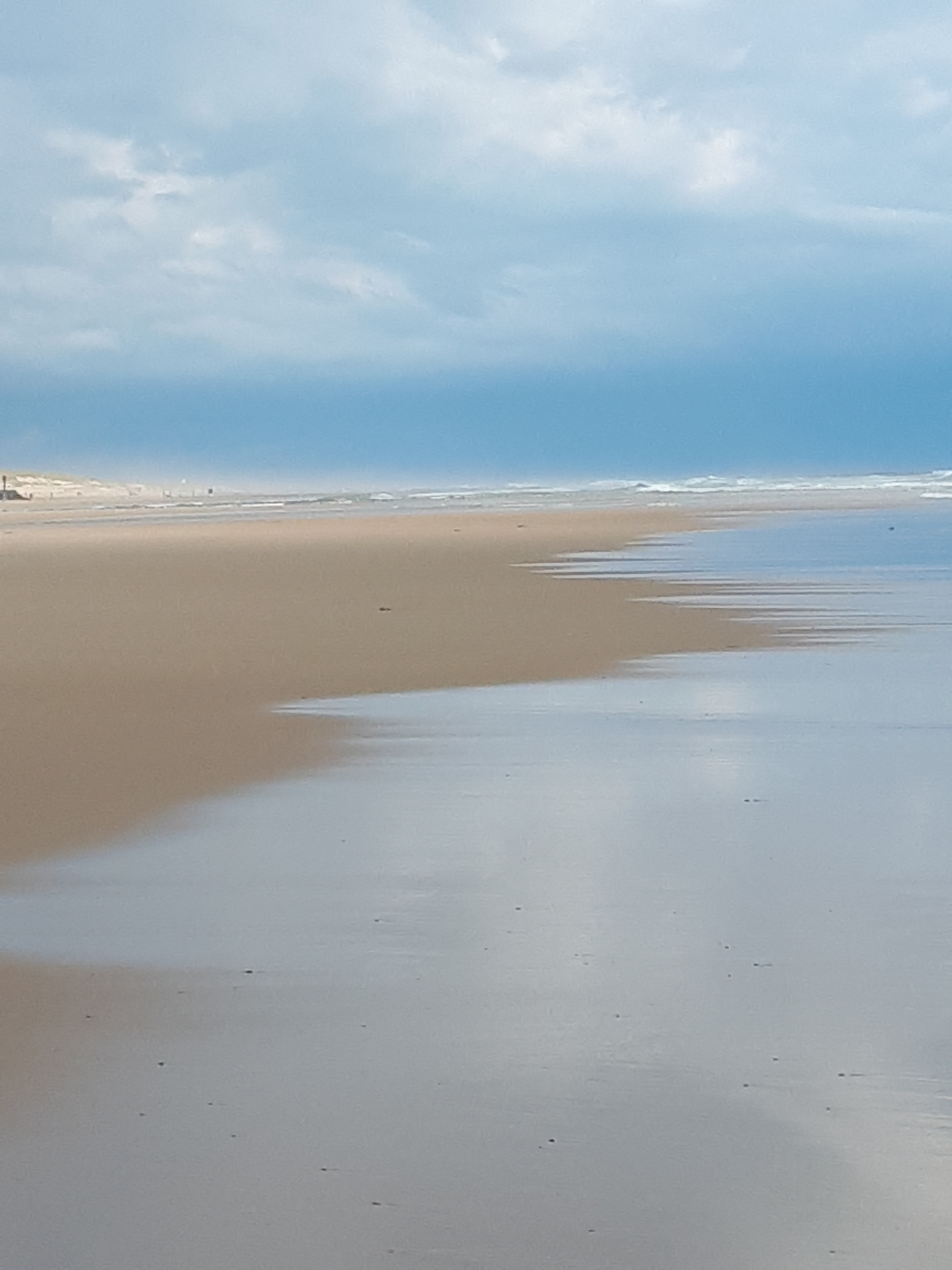 Landes sauvages Landes sauvages