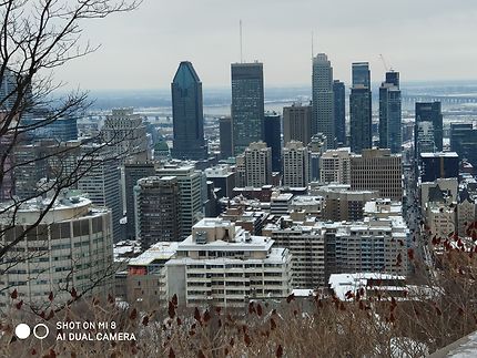 Vue du Parc Mont-Royal à Montréal