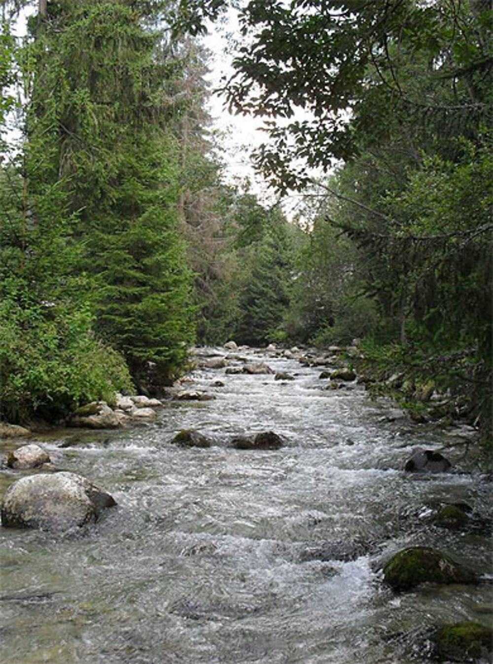 Un ruisseau de montagne