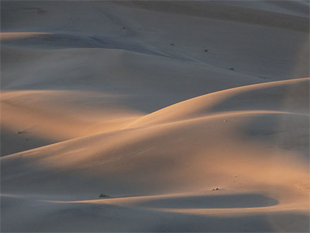 Dunes de Khongor au lever du soleil