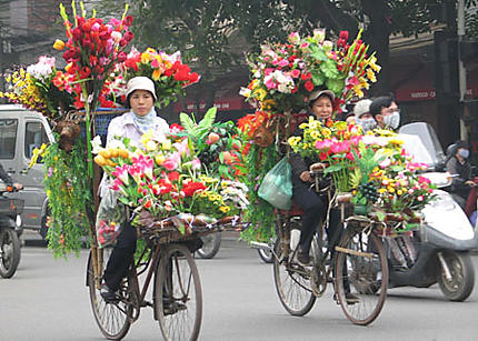 Livreuses de fleur a Hanoi