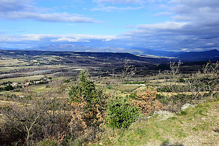 Paysage de Provence