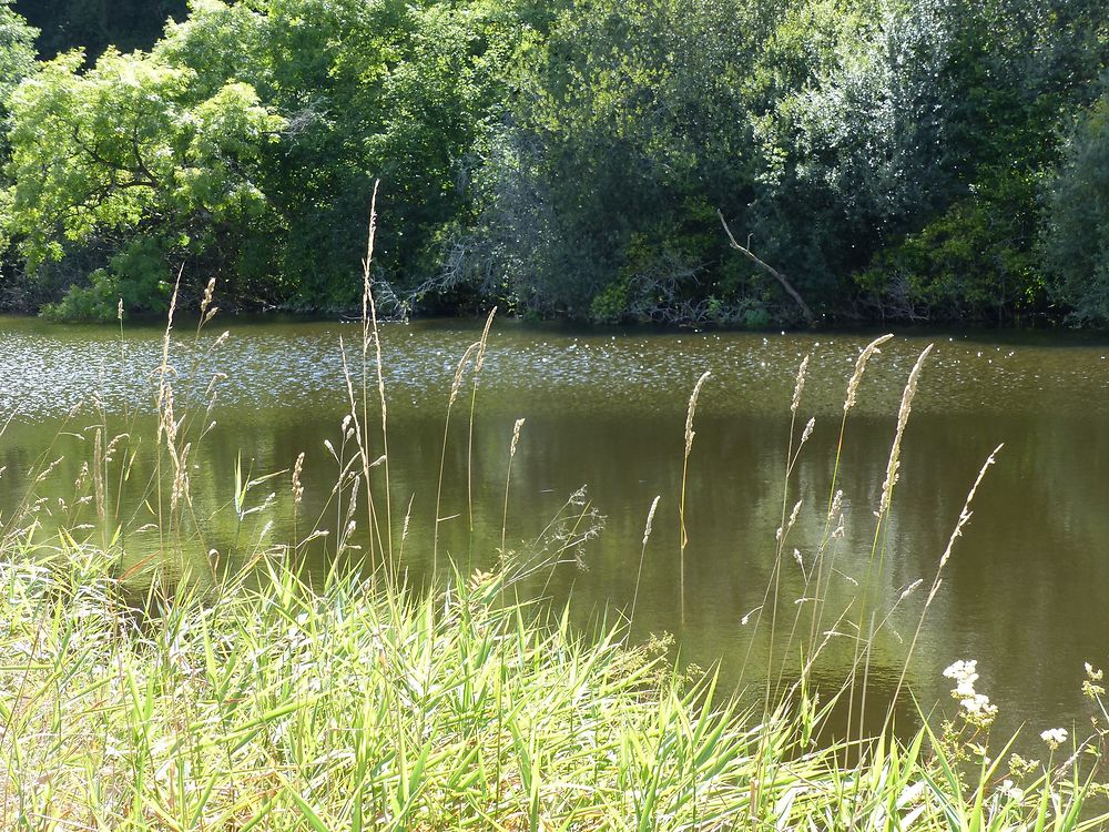 Un Canal très bucolique 