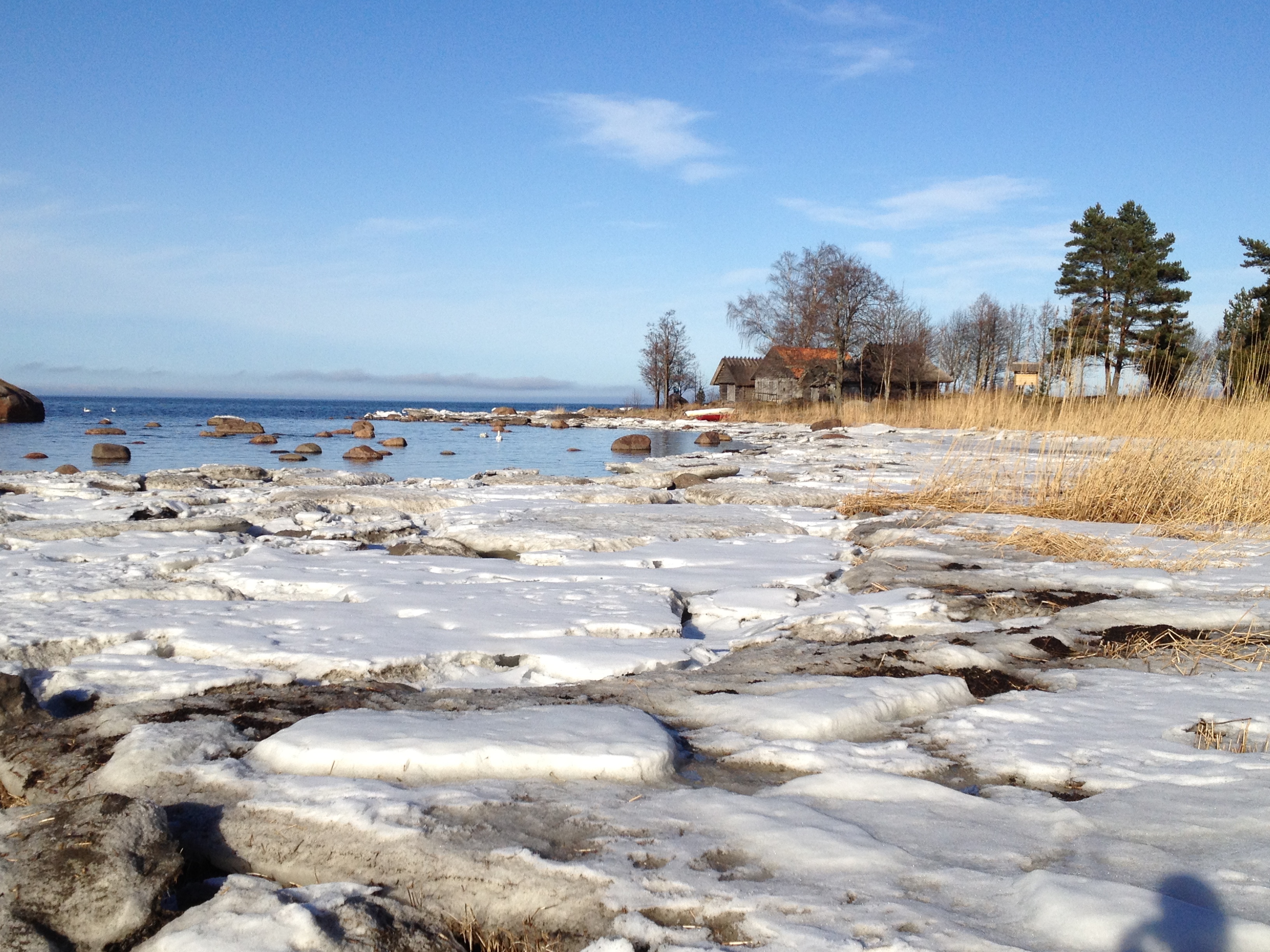 Plage en hiver dans le parc national de Lahemaa Plage en hiver dans le parc national de Lahemaa