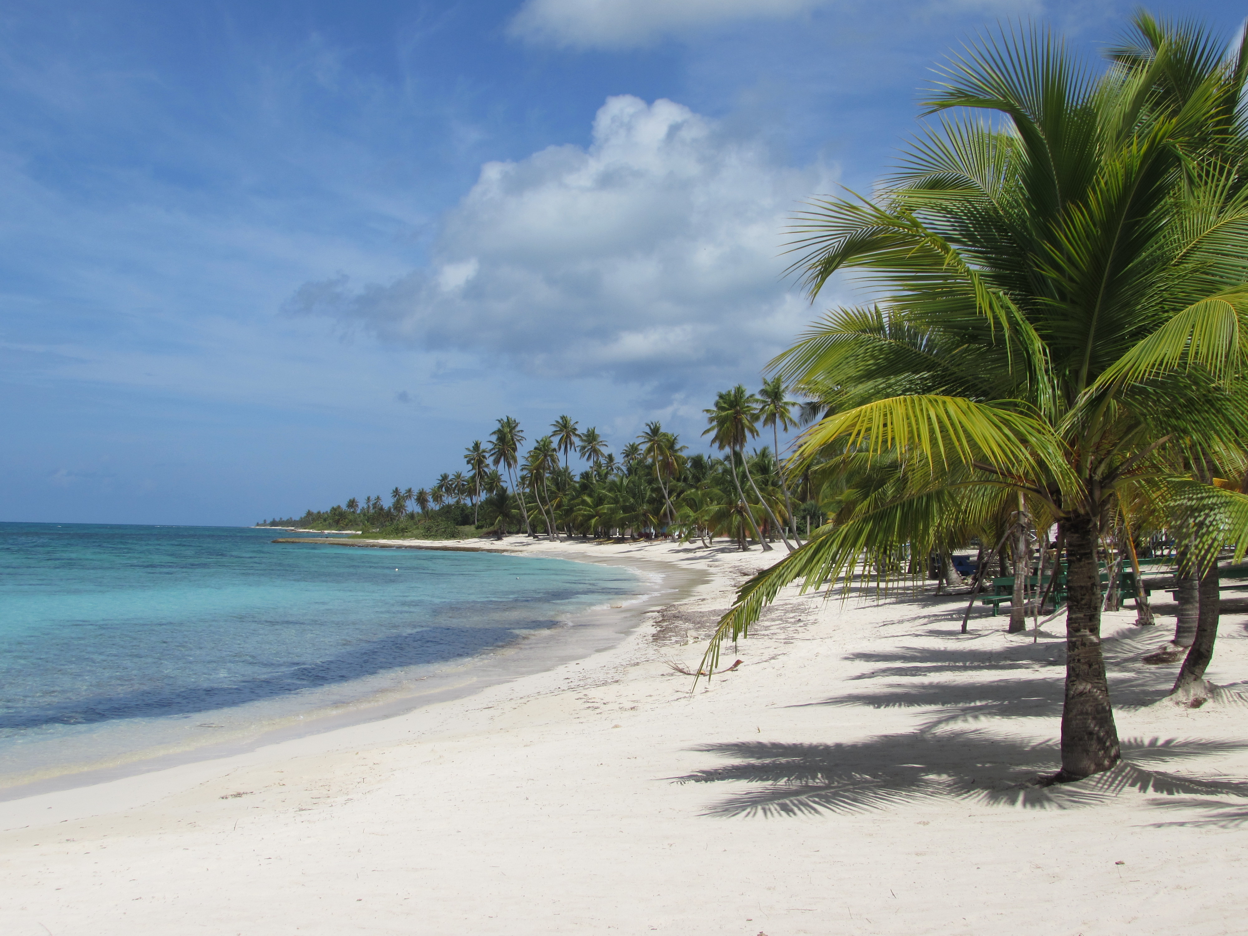 Saona Saona