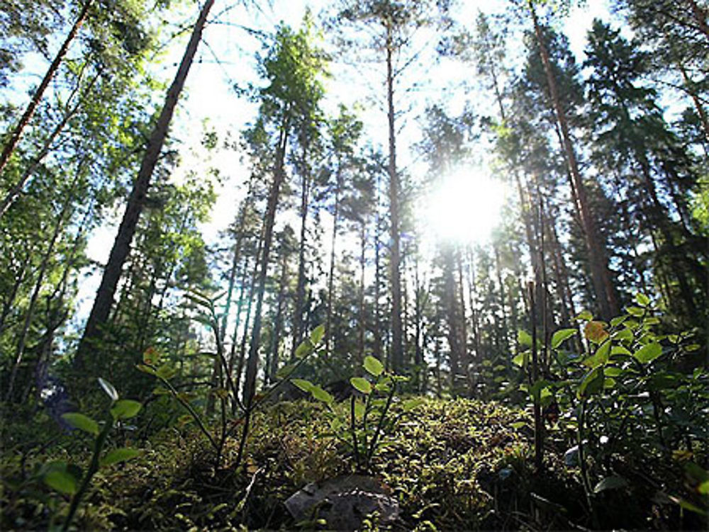 Rando-kayak sur le lac Linansaari