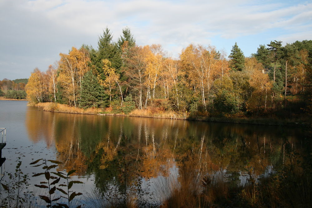 Etang de Miel