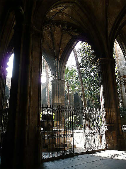 Barri Gotic - cloître de la cathédrale