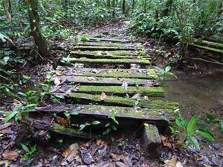 Photo Guyane Photo Guyane